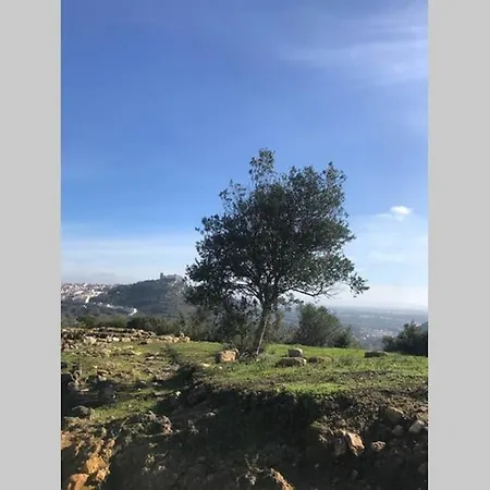 Bem-Vindo Em Palmela شقة *
